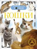 Кошки. Детская энциклопедия РОСМЭН Кошка – одно из самых распространённых в мире домашних животных. Вот уже на протяжении нескольких тысяч лет она живёт бок о бок с человеком. Цель этой энциклопедии - помочь людям лучше понять кошек и научиться общению с http://booksnook.com.ua