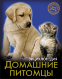 Домашние питомцы. Энциклопедия. Хочу знать Интересная информация, занимательные факты, яркие иллюстрации, широкий круг тем-всё это вы найдете в данной энциклопедии! Вы узнаете, у каких домашних животных самый глубокий сон, у кого из наших питомцев самые крепкие http://booksnook.com.ua