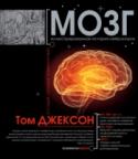 Мозг О собственном мозге мы знаем парадоксально мало, хотя разносторонним изучением этого органа заняты специалисты более чем десяти смежных областей – нейропсихофизиологии, нейрофизиологии и нейролингвистики… По мысли http://booksnook.com.ua