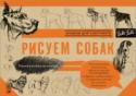 Рисуем собак. Учимся рисовать на коленке Лошади – это красота, сила, грация… Ими восхищаются подавляющее большинство взрослых и детей. Лошади вдохновляют художников и поэтов, лечат людей при помощи ипотерапии. Рисовать лошадей интересно и совсем несложно. http://booksnook.com.ua