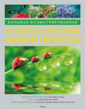 Большая иллюстрированная энциклопедия живой природы Эта великолепно иллюстрированная энциклопедия распахивает двери в удивительный и многообразный мир живой природы.
В ней представлены подробные сведения обо всех главных обитателях нашей планеты, об эволюции жизни на http://booksnook.com.ua